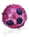 Unframed watercolor painting of a white blood cell.