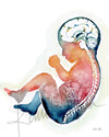 Unframed watercolor painting of a fetus showing the spine and brain in rainbow colors.