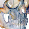 Zoomed in view of a watercolor painting of a skull from a three quarter view.