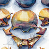 Exploded View of Skull I Watercolor Print