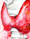 Thyroid In Pink Print Watercolor