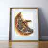 Placenta Watercolor Print