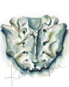 Sacrum Watercolor Print