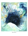 Sea Urchin Watercolor Print