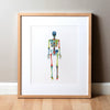 Skeletal System In Red Green And Blue Print Watercolor