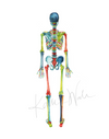 Skeletal System In Red Green And Blue Print Watercolor