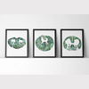 Spinal Cord Print Set Of 3 Watercolor