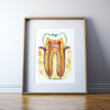 Molar Cross Section Print In Orange Watercolor