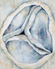 Tricuspid Valve Print Watercolor