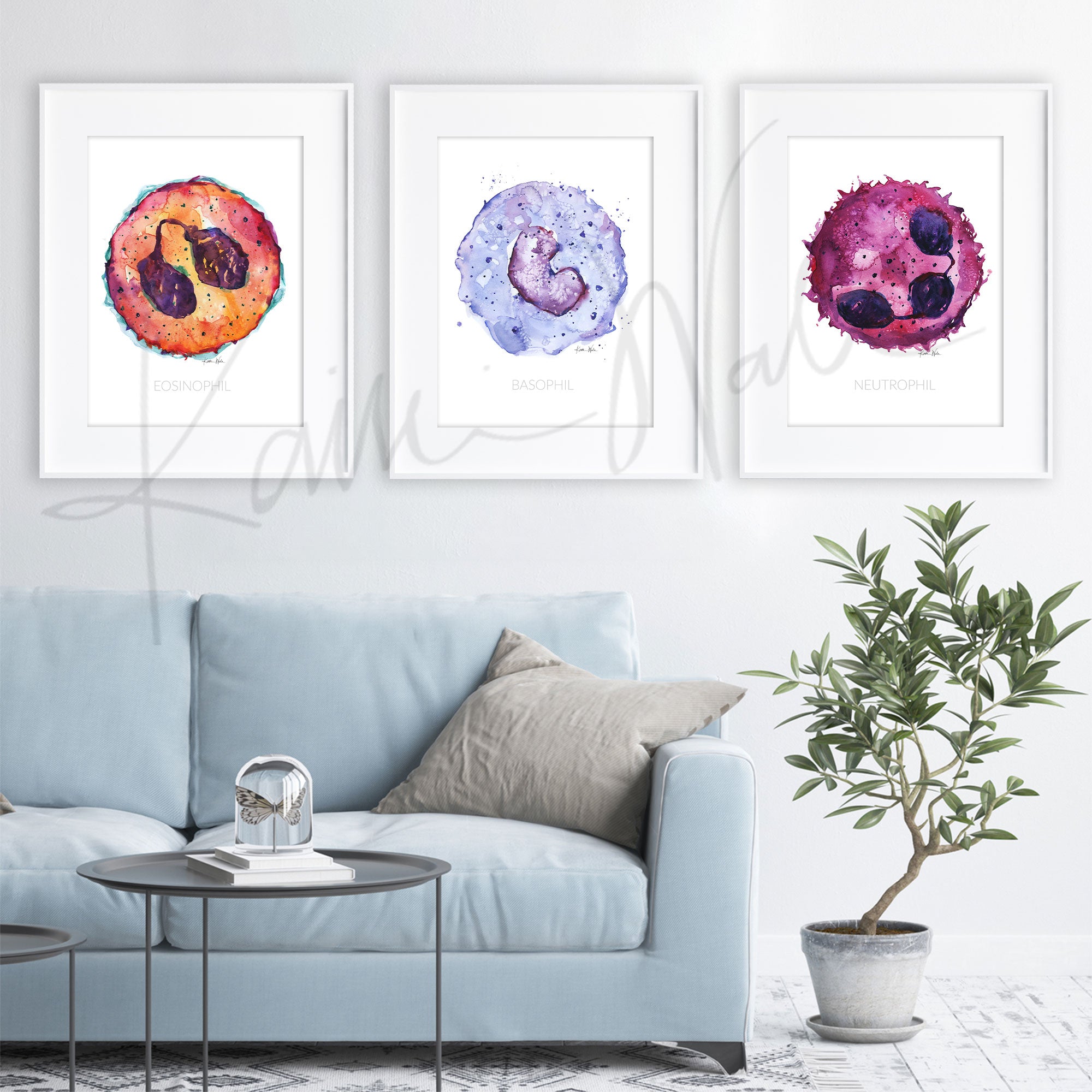 White Blood Cells Watercolor Print Set - Blood Cell Art - Hematology ...